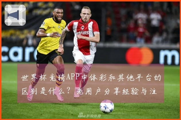 世界杯竞猜APP中体彩和其他平台的区别是什么？老用户分享经验与注意事项