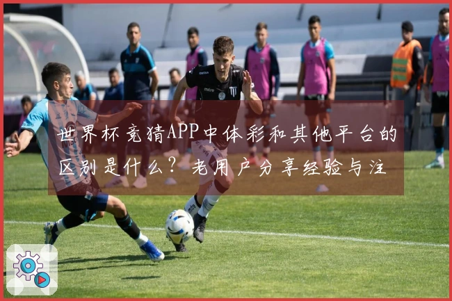世界杯竞猜APP中体彩和其他平台的区别是什么？老用户分享经验与注意事项