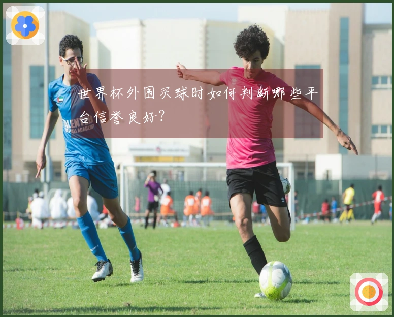 世界杯外围买球时如何判断哪些平台信誉良好？