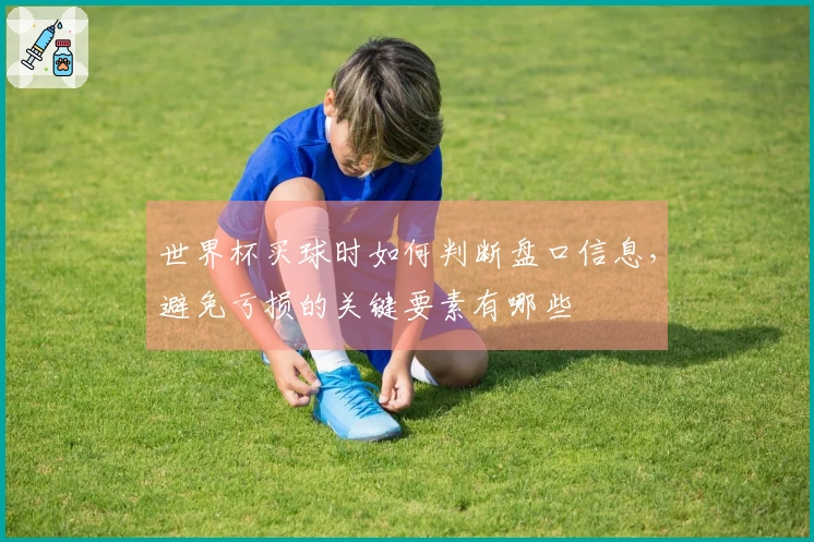世界杯买球时如何判断盘口信息，避免亏损的关键要素有哪些
